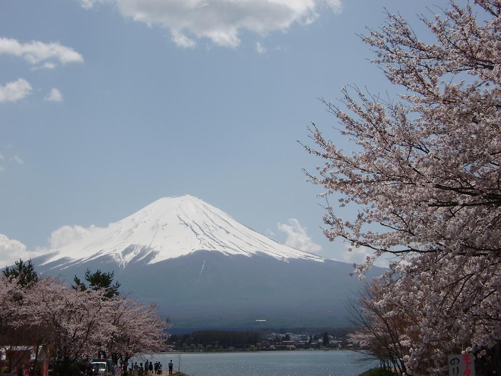 Villa Lupinus Kawaguchiko Fujikawaguchiko Bagian luar foto