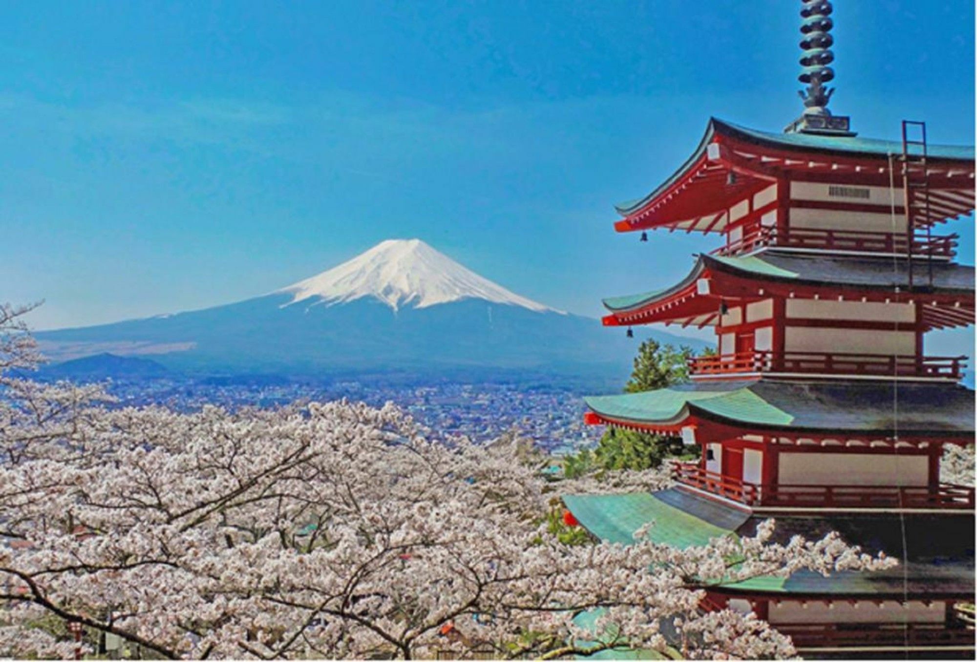 Villa Lupinus Kawaguchiko Fujikawaguchiko Bagian luar foto