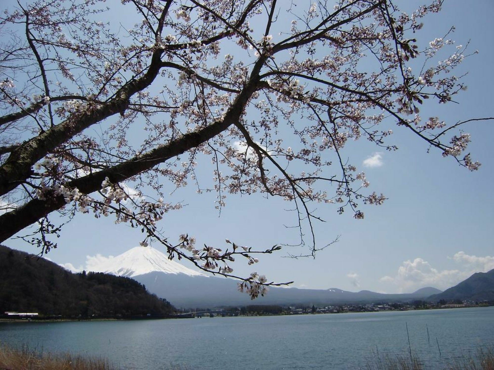 Villa Lupinus Kawaguchiko Fujikawaguchiko Bagian luar foto